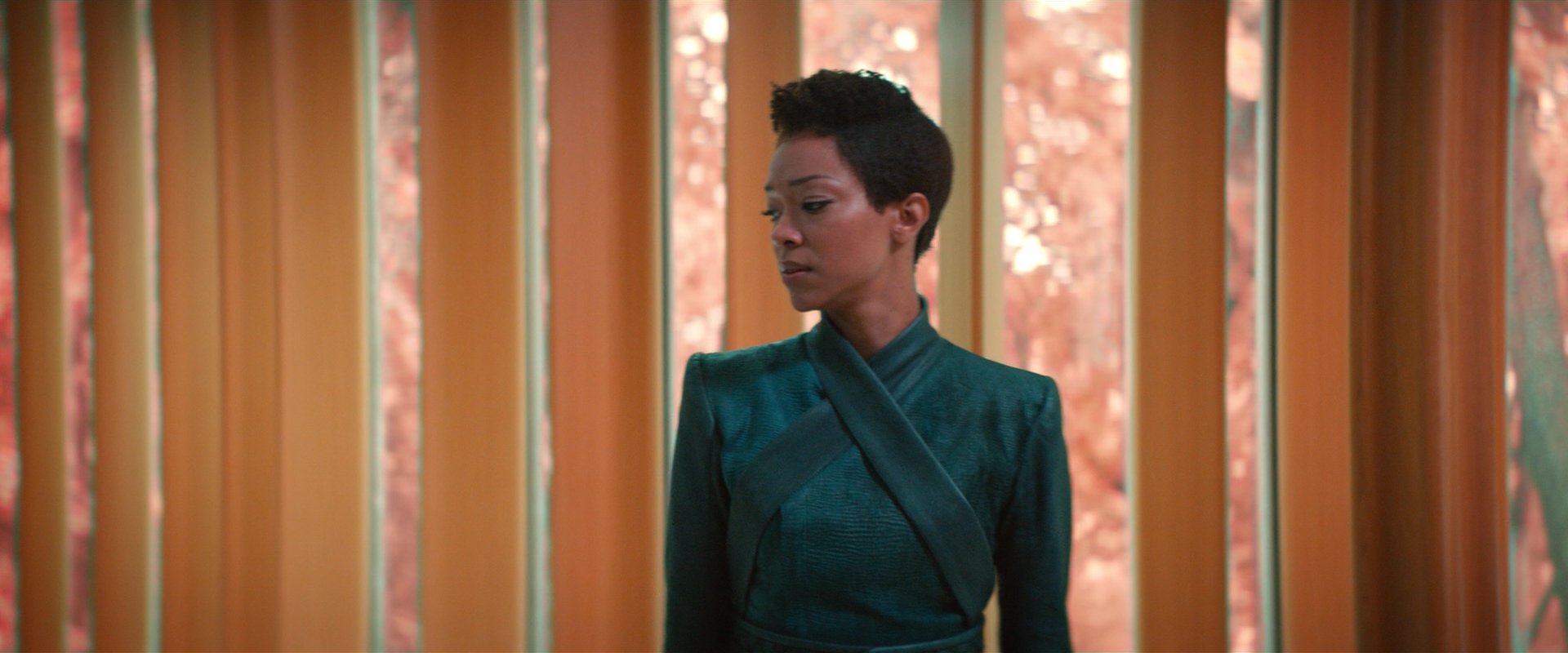 extant_StarTrekDiscovery_2x07-LightAndShadows_00886.jpg