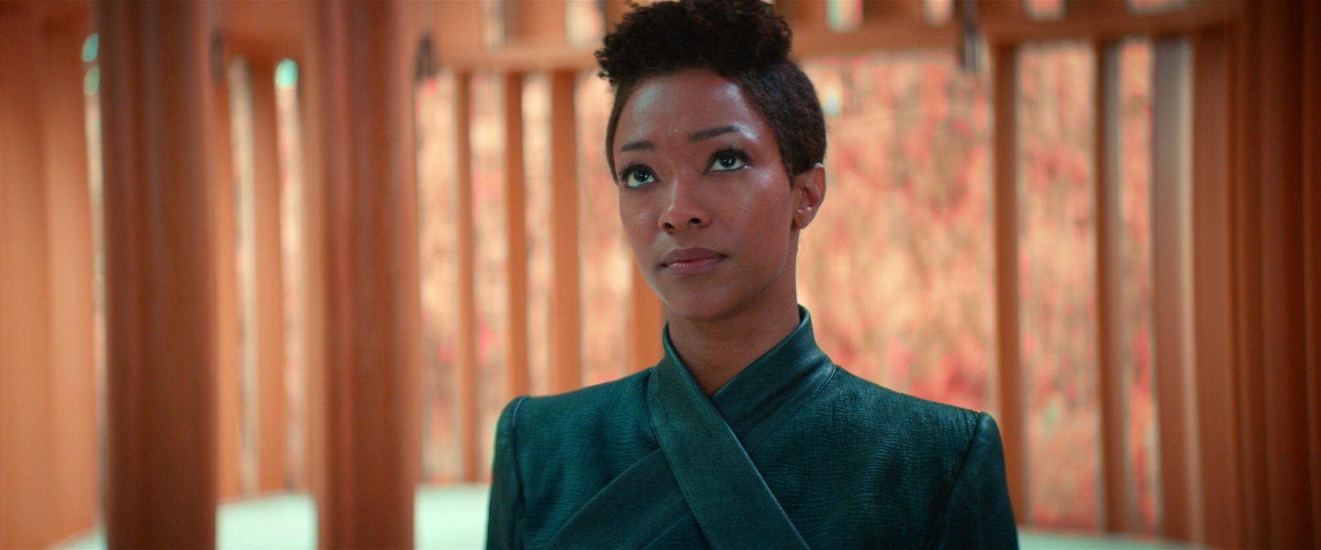 extant_StarTrekDiscovery_2x07-LightAndShadows_00899.jpg