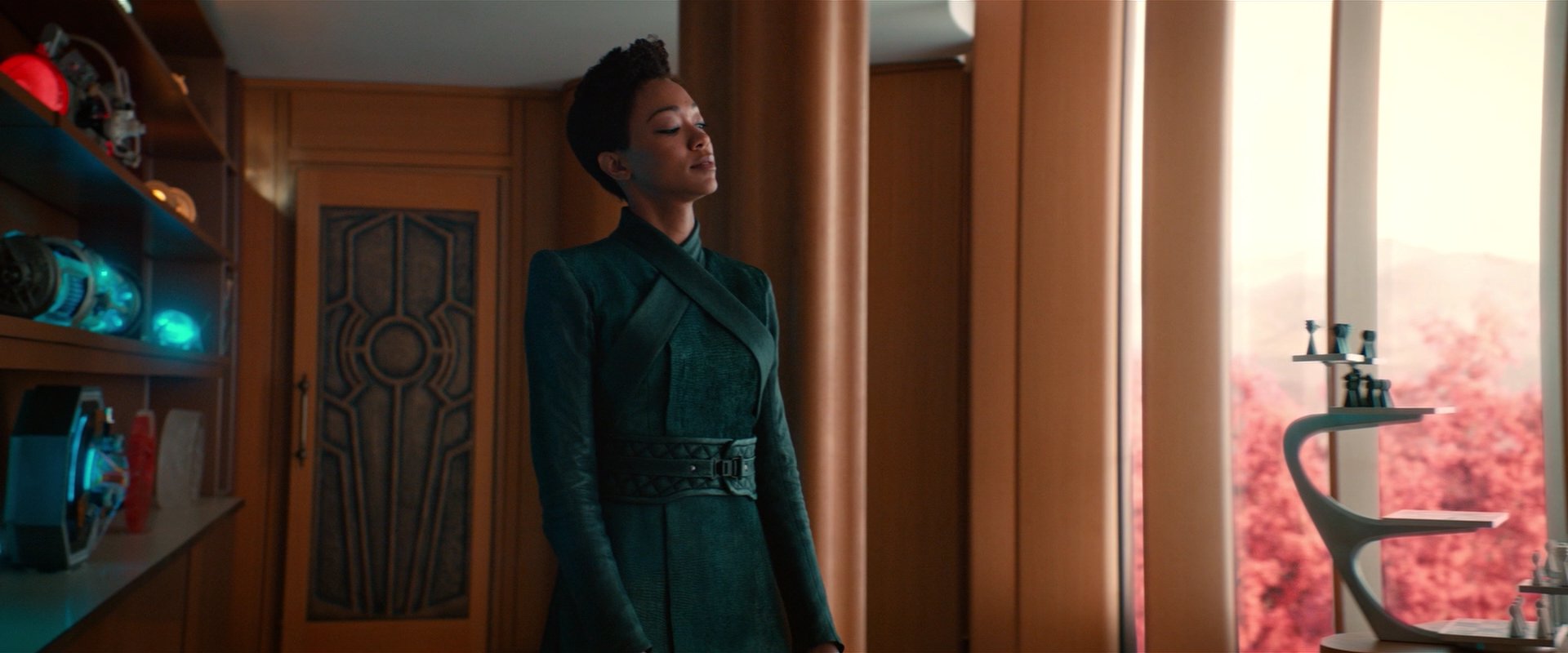 extant_StarTrekDiscovery_2x07-LightAndShadows_00928.jpg