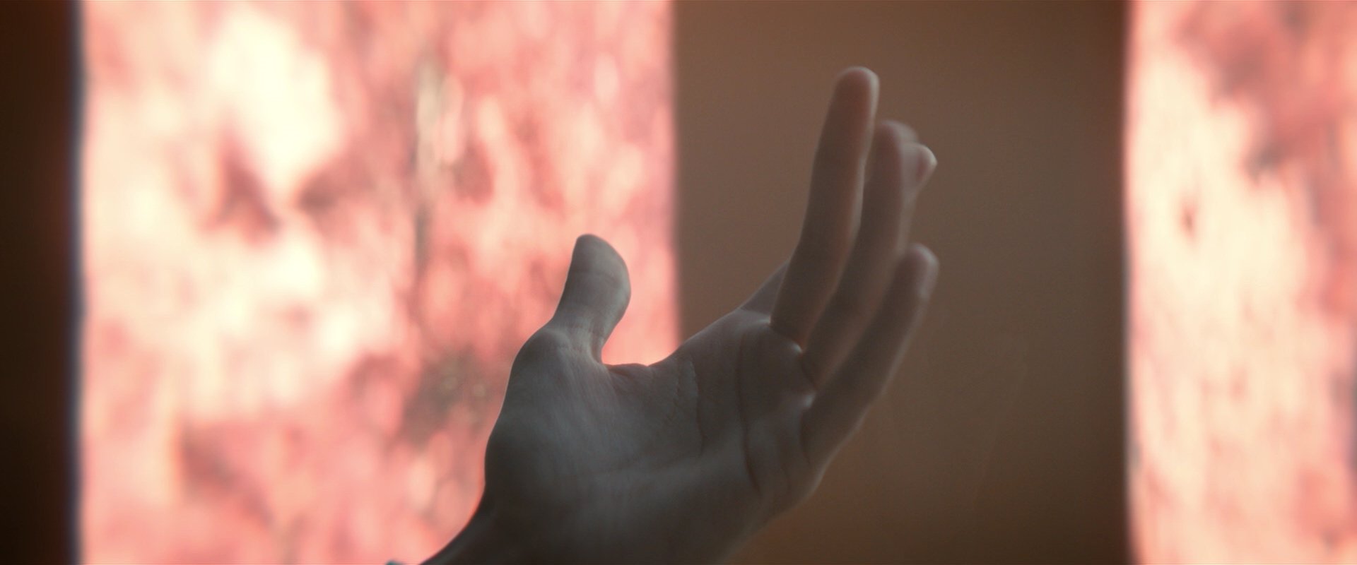 extant_StarTrekDiscovery_2x07-LightAndShadows_00957.jpg