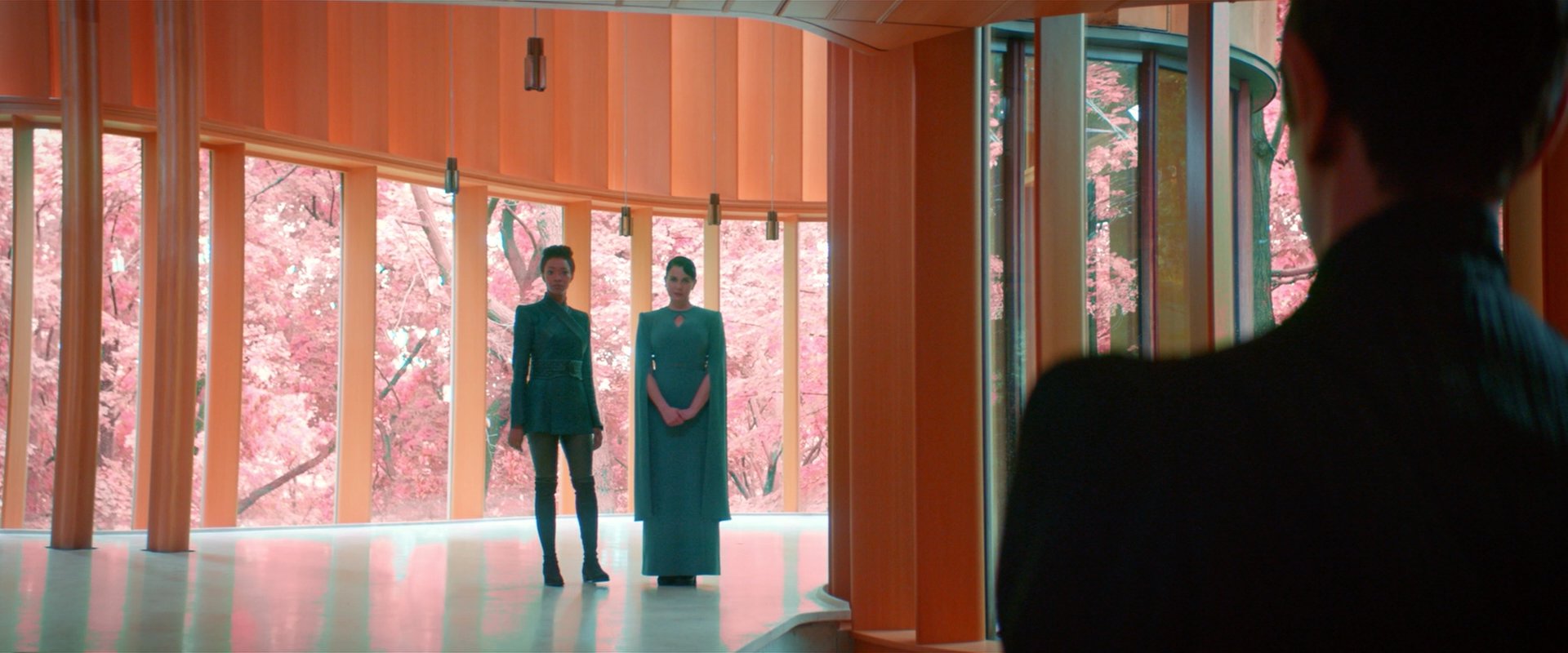 extant_StarTrekDiscovery_2x07-LightAndShadows_01051.jpg