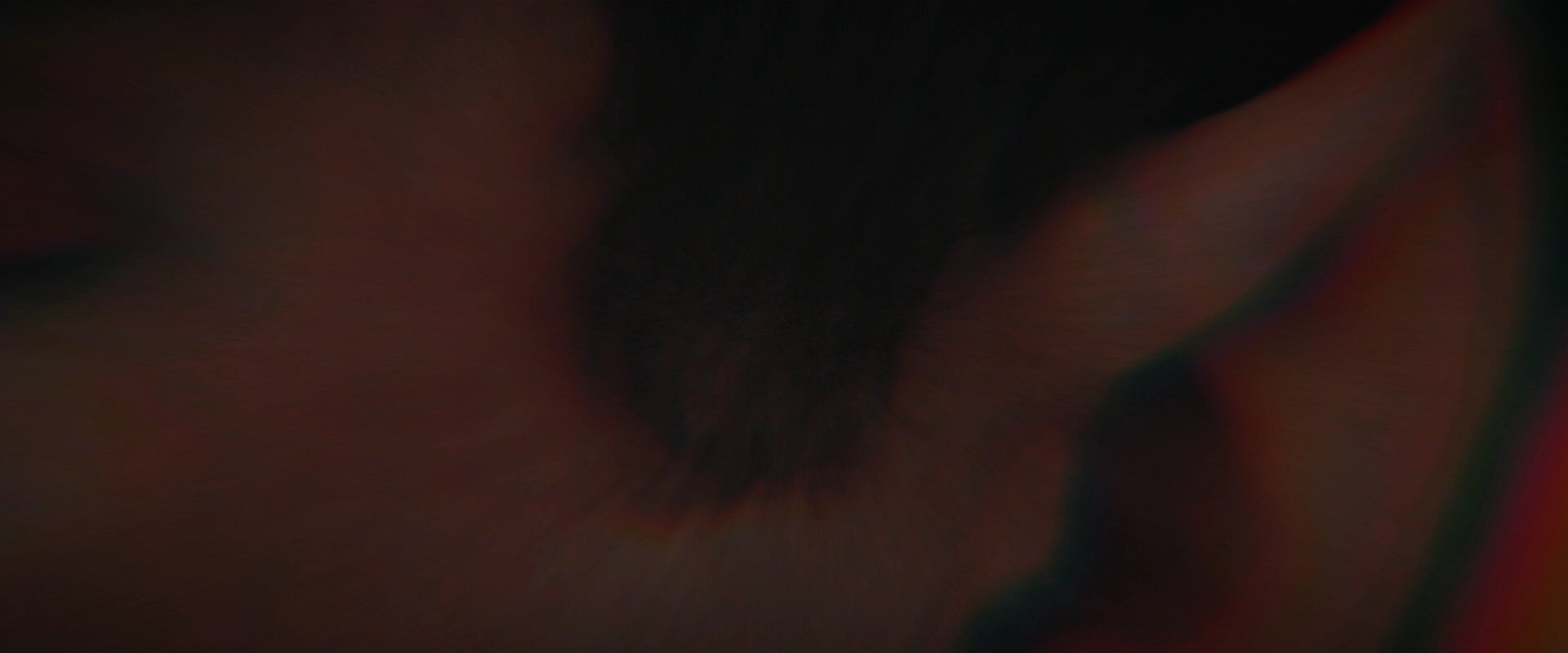 extant_StarTrekDiscovery_2x07-LightAndShadows_01055.jpg