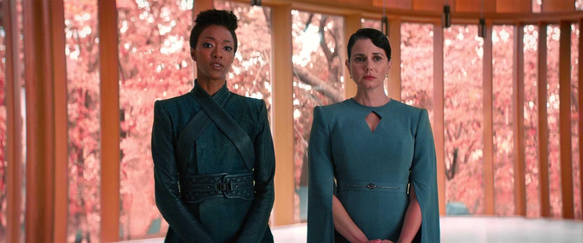 extant_StarTrekDiscovery_2x07-LightAndShadows_01070.jpg
