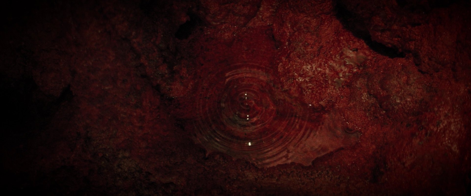 extant_StarTrekDiscovery_2x07-LightAndShadows_01649.jpg