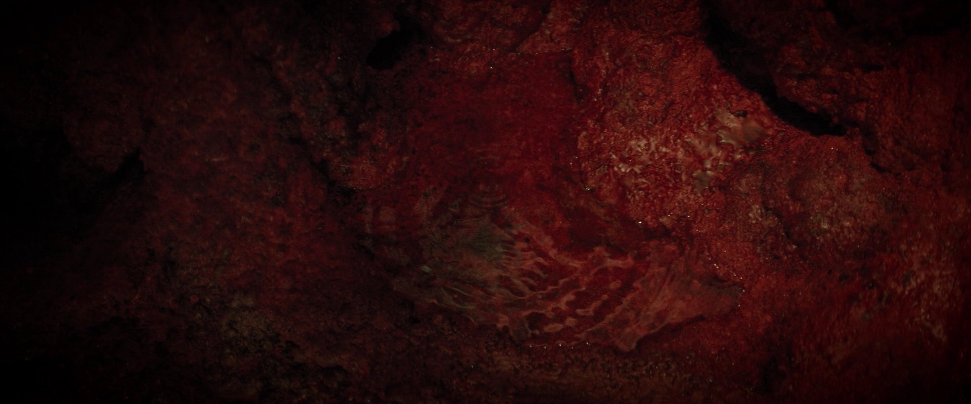 extant_StarTrekDiscovery_2x07-LightAndShadows_01650.jpg
