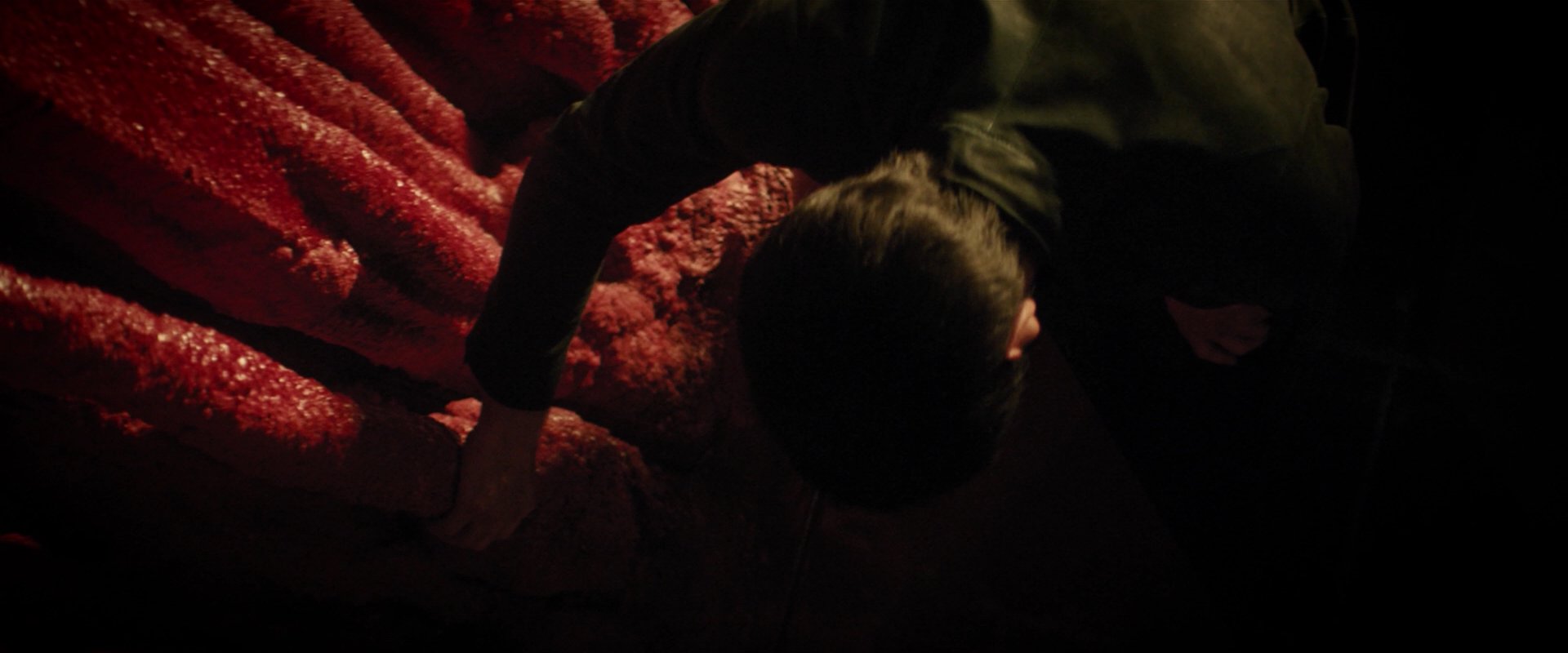 extant_StarTrekDiscovery_2x07-LightAndShadows_01694.jpg