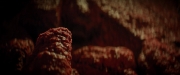 extant_StarTrekDiscovery_2x07-LightAndShadows_01642.jpg