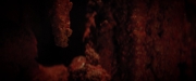 extant_StarTrekDiscovery_2x07-LightAndShadows_01646.jpg