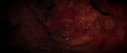 extant_StarTrekDiscovery_2x07-LightAndShadows_01649.jpg