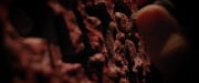extant_StarTrekDiscovery_2x07-LightAndShadows_01840.jpg