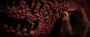 extant_StarTrekDiscovery_2x07-LightAndShadows_01848.jpg
