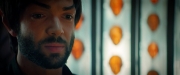 Filename=extant_StarTrekDiscovery_2x07-LightAndShadows_02492.jpg
Filesize=113KiB
Dimensions=1920x800
Date added=Dec 08, 2019 extant_StarTrekDiscovery_2x07-LightAndShadows_02492.jpg