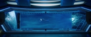 Filename=extant_StarTrekDiscovery_2x07-LightAndShadows_03605.jpg
Filesize=194KiB
Dimensions=1920x800
Date added=Dec 08, 2019 extant_StarTrekDiscovery_2x07-LightAndShadows_03605.jpg
