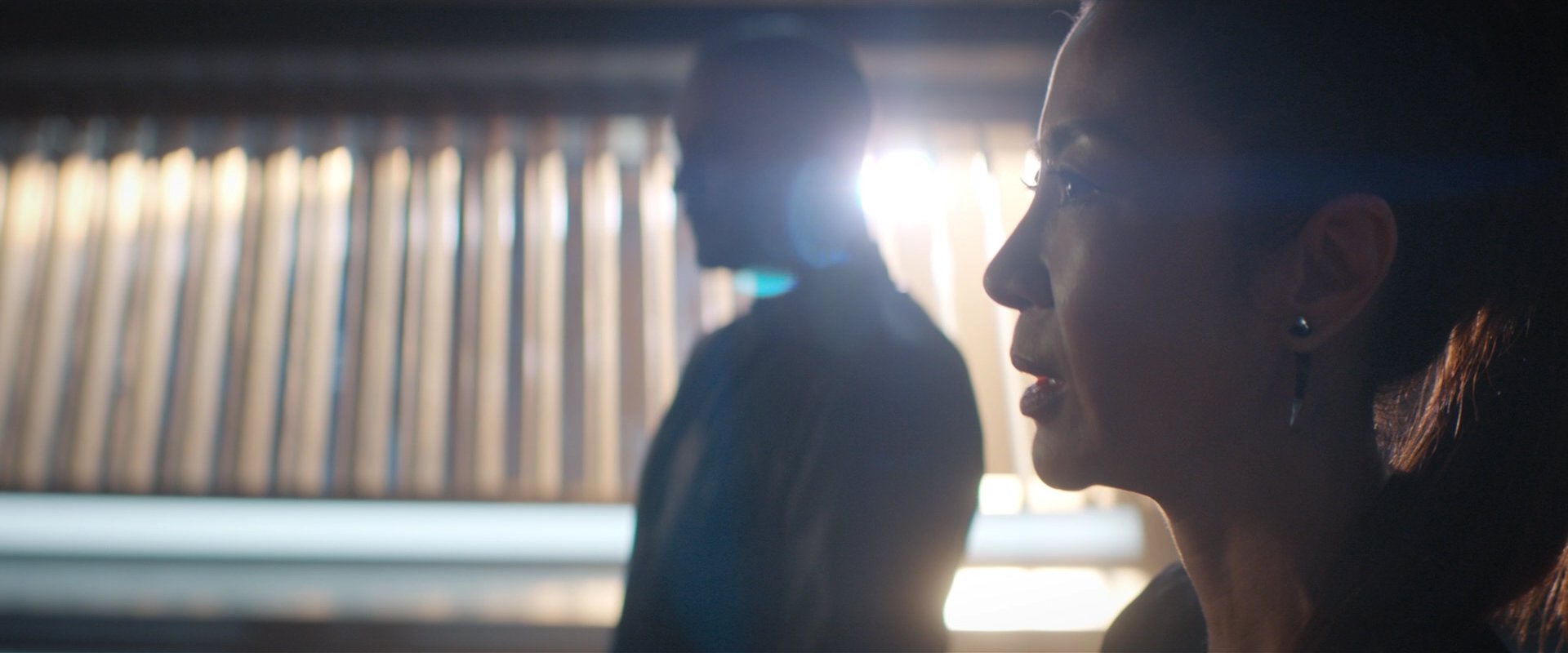 extant_StarTrekDiscovery_2x08-IfMemoryServes_00266.jpg