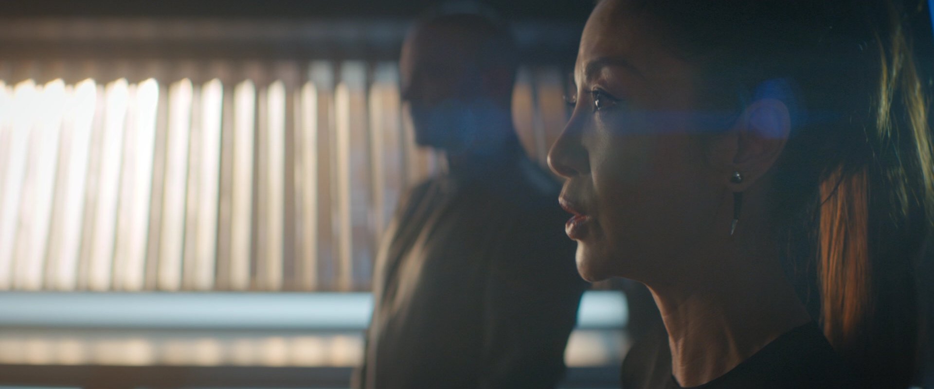extant_StarTrekDiscovery_2x08-IfMemoryServes_00277.jpg