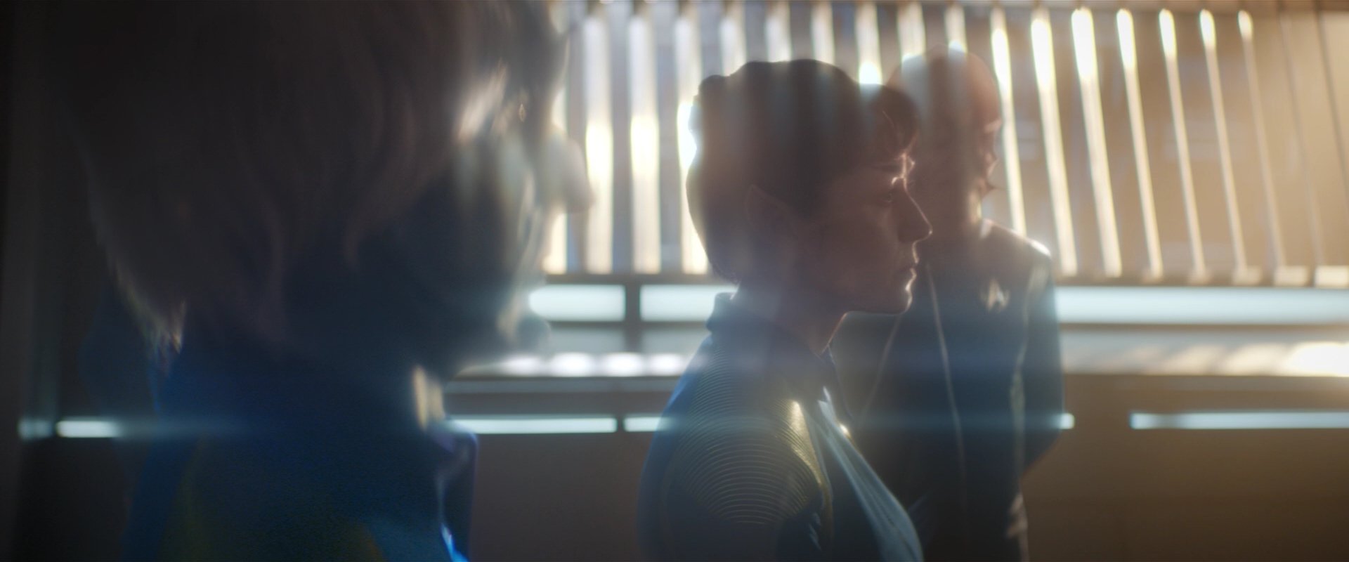 extant_StarTrekDiscovery_2x08-IfMemoryServes_00283.jpg