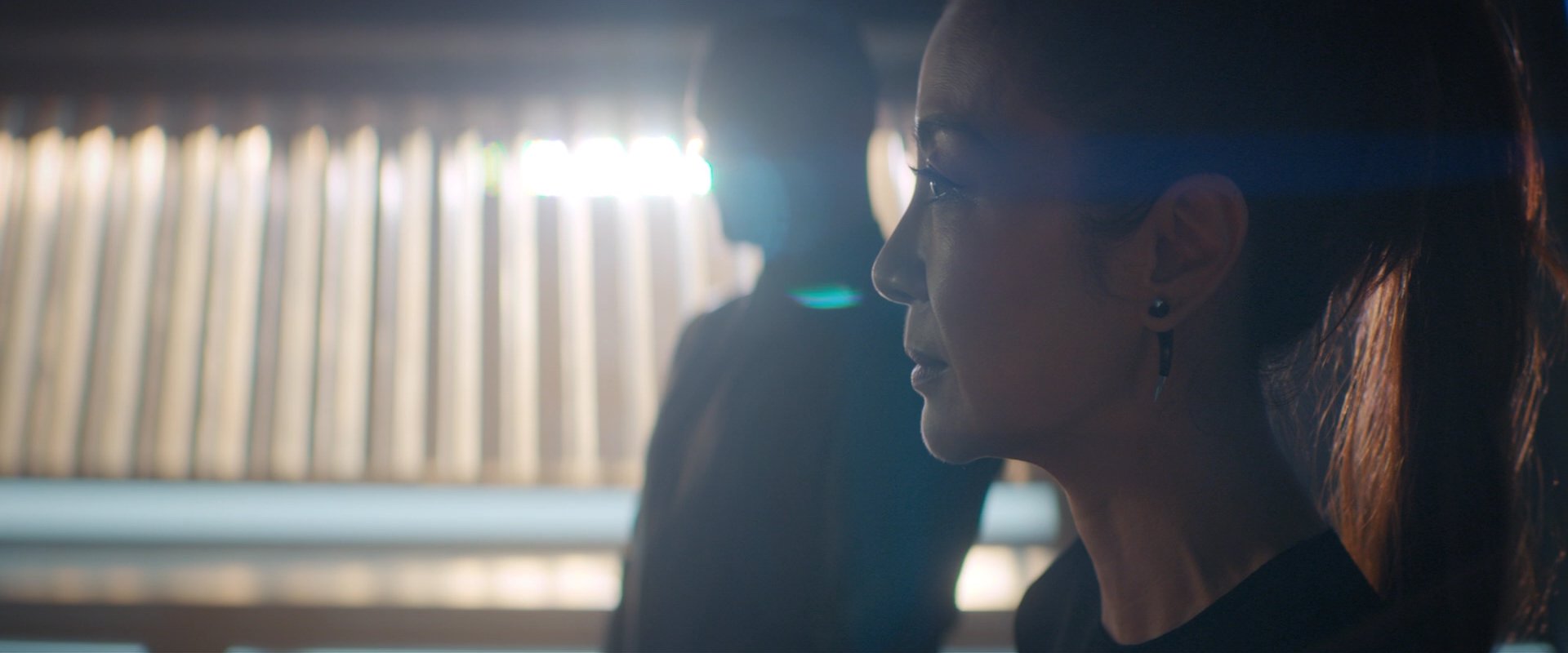 extant_StarTrekDiscovery_2x08-IfMemoryServes_00286.jpg