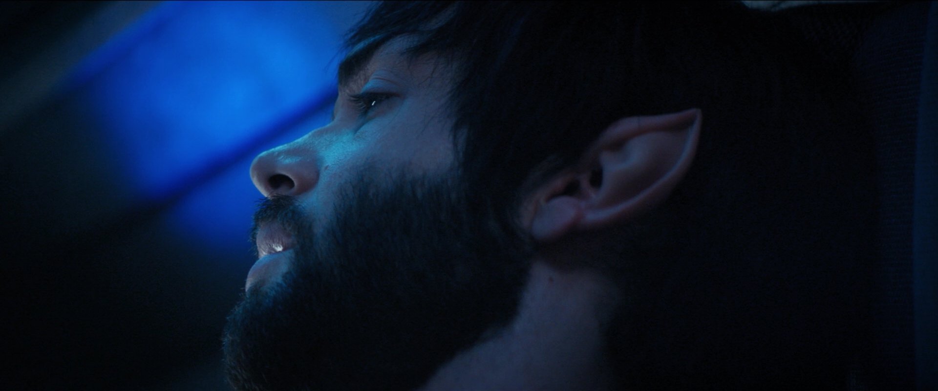 extant_StarTrekDiscovery_2x08-IfMemoryServes_00660.jpg