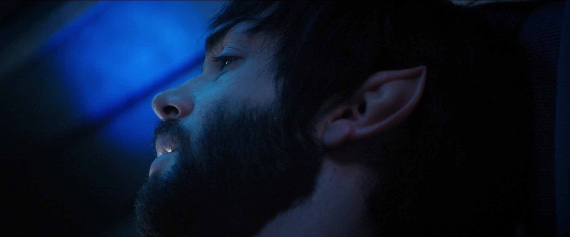 extant_StarTrekDiscovery_2x08-IfMemoryServes_00661.jpg