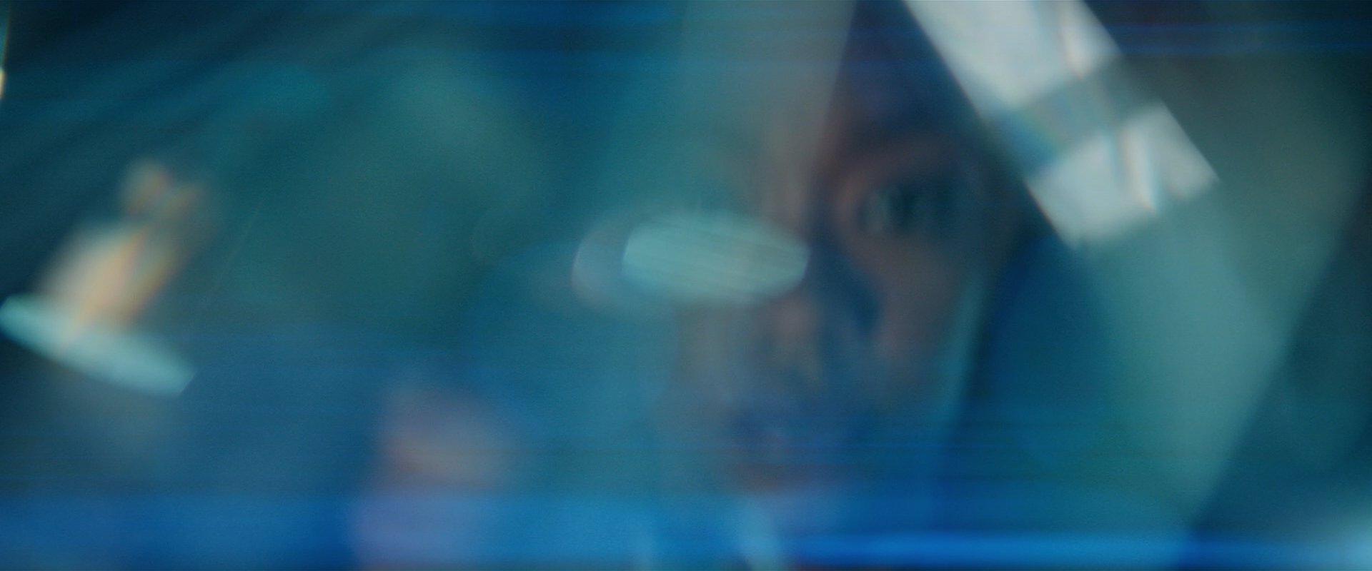 extant_StarTrekDiscovery_2x08-IfMemoryServes_00670.jpg