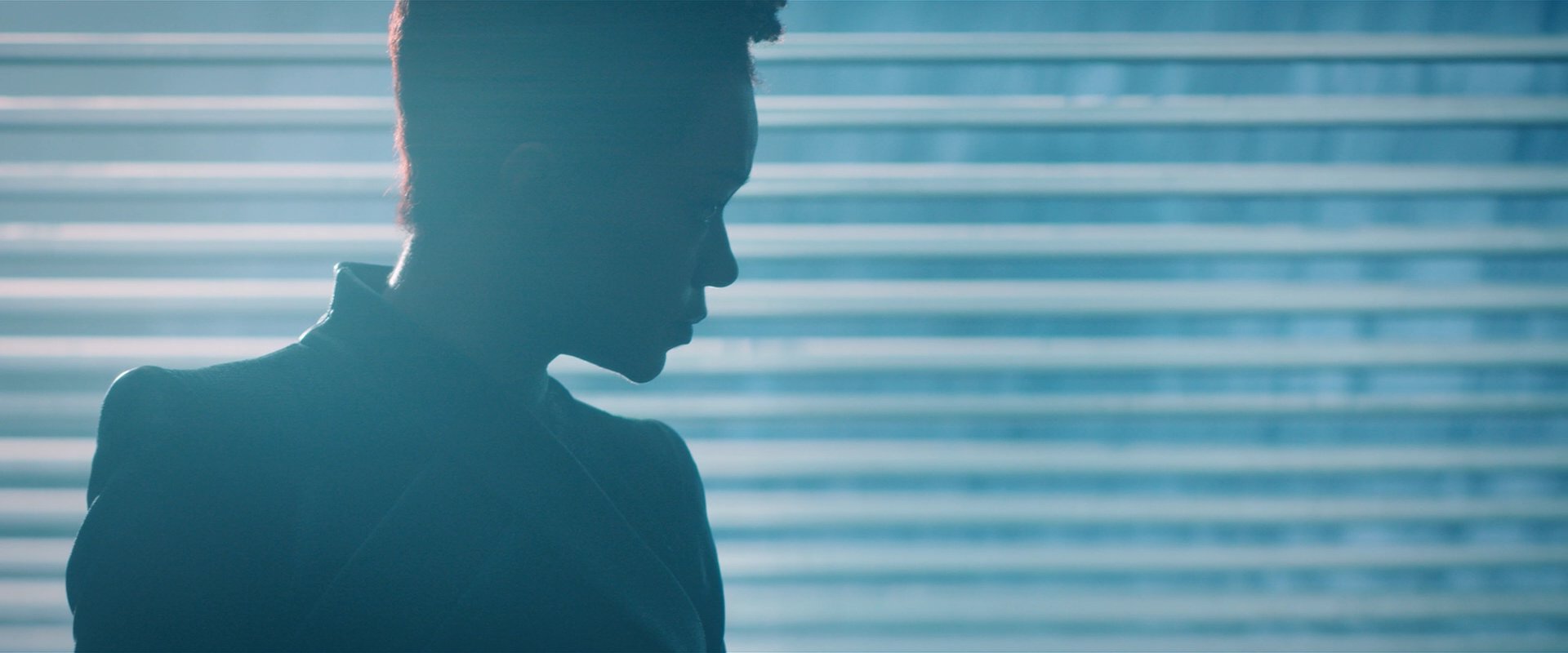 extant_StarTrekDiscovery_2x08-IfMemoryServes_01380.jpg