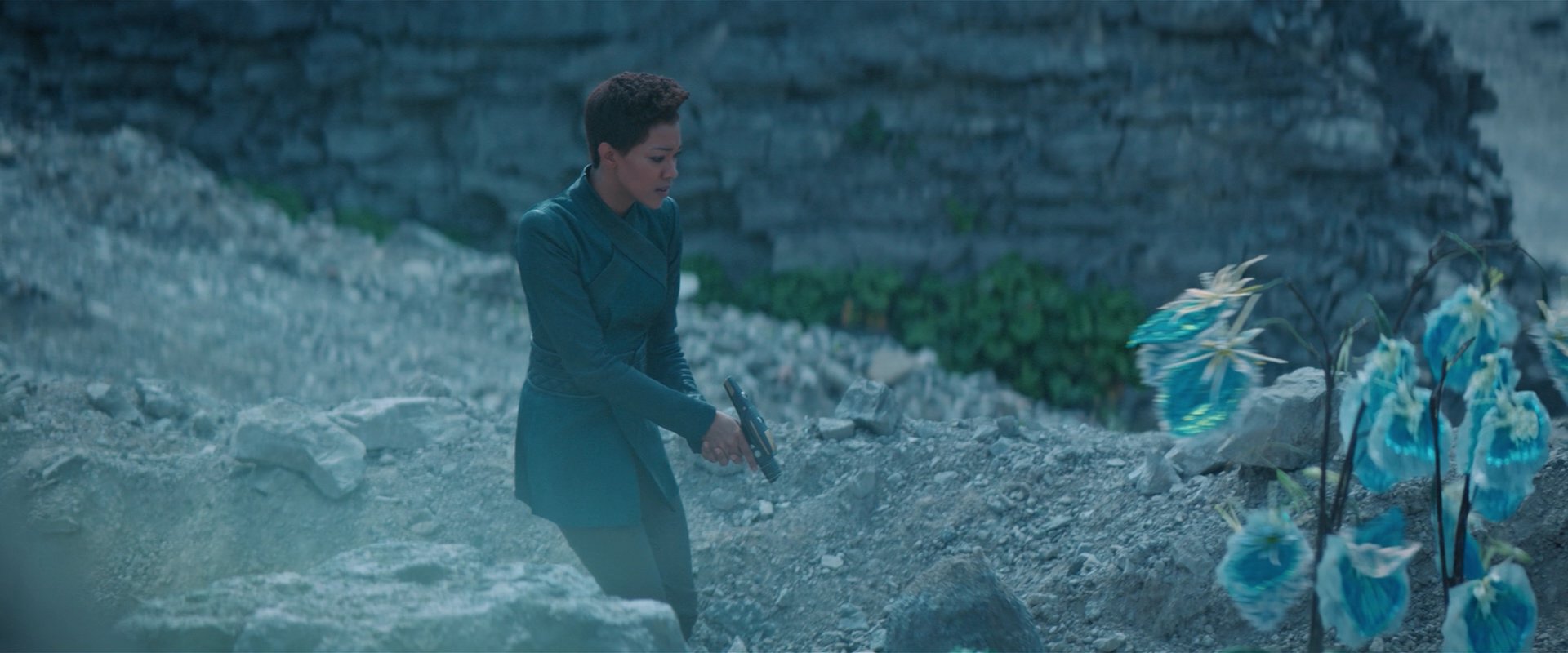 extant_StarTrekDiscovery_2x08-IfMemoryServes_01464.jpg