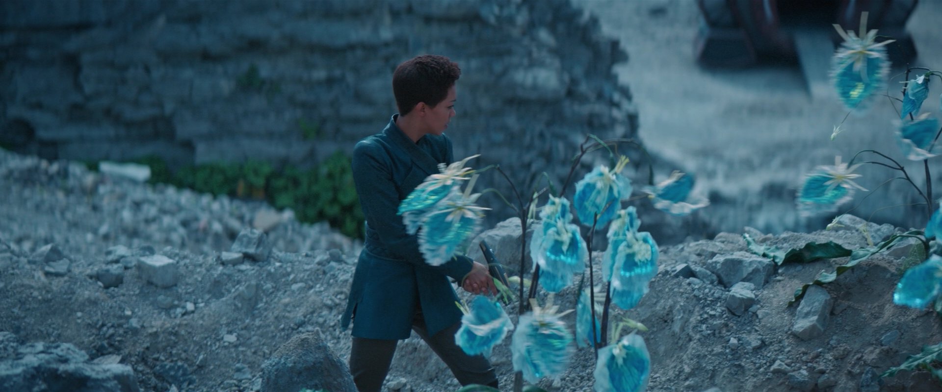 extant_StarTrekDiscovery_2x08-IfMemoryServes_01466.jpg
