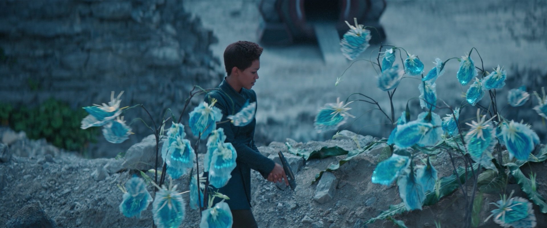 extant_StarTrekDiscovery_2x08-IfMemoryServes_01468.jpg