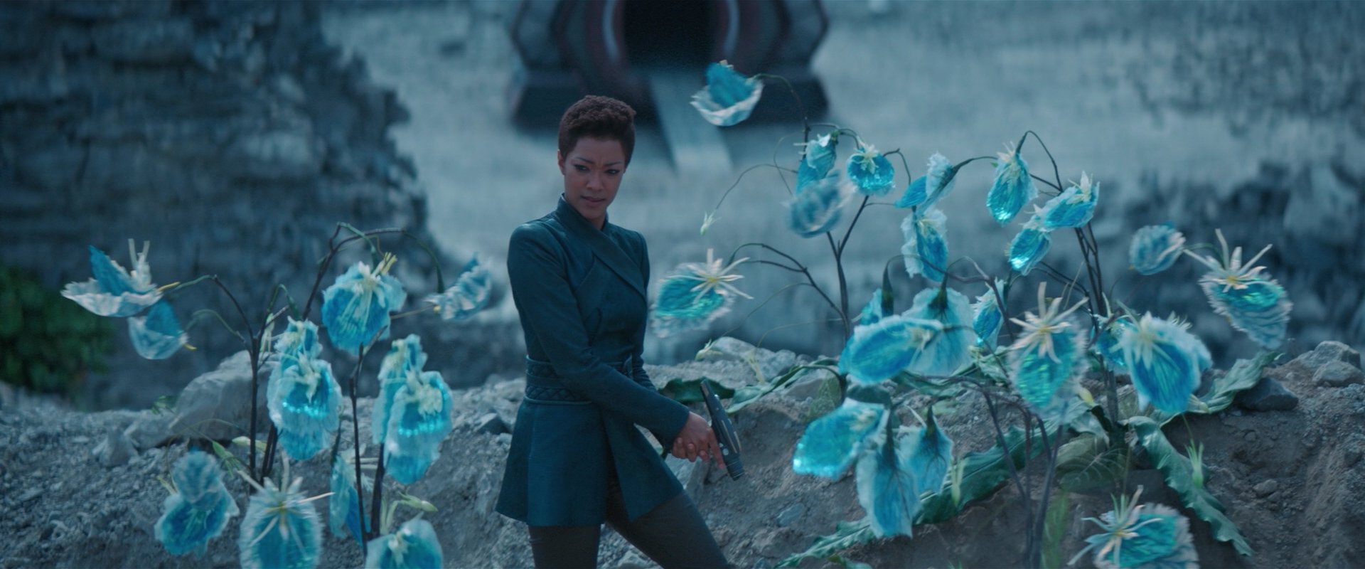 extant_StarTrekDiscovery_2x08-IfMemoryServes_01469.jpg