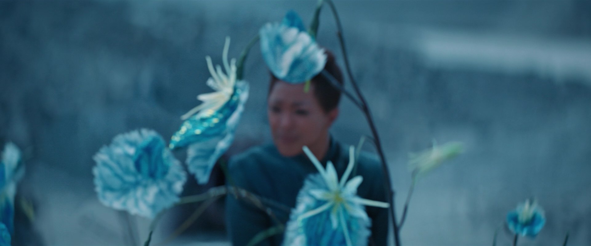 extant_StarTrekDiscovery_2x08-IfMemoryServes_01471.jpg