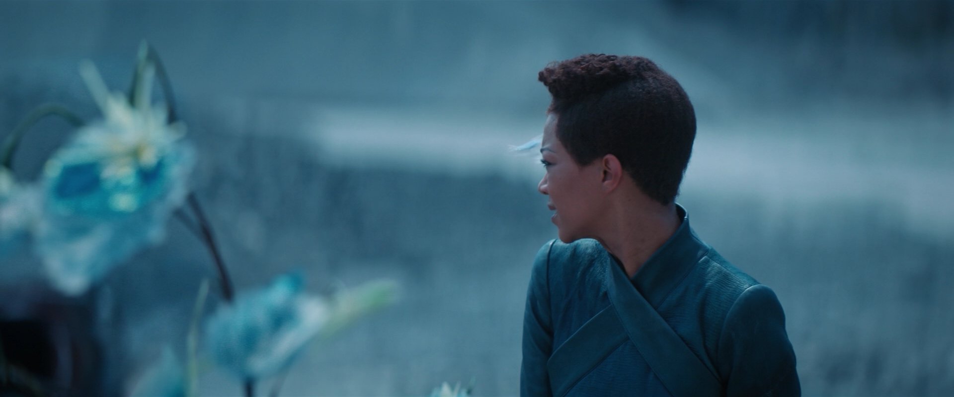 extant_StarTrekDiscovery_2x08-IfMemoryServes_01477.jpg