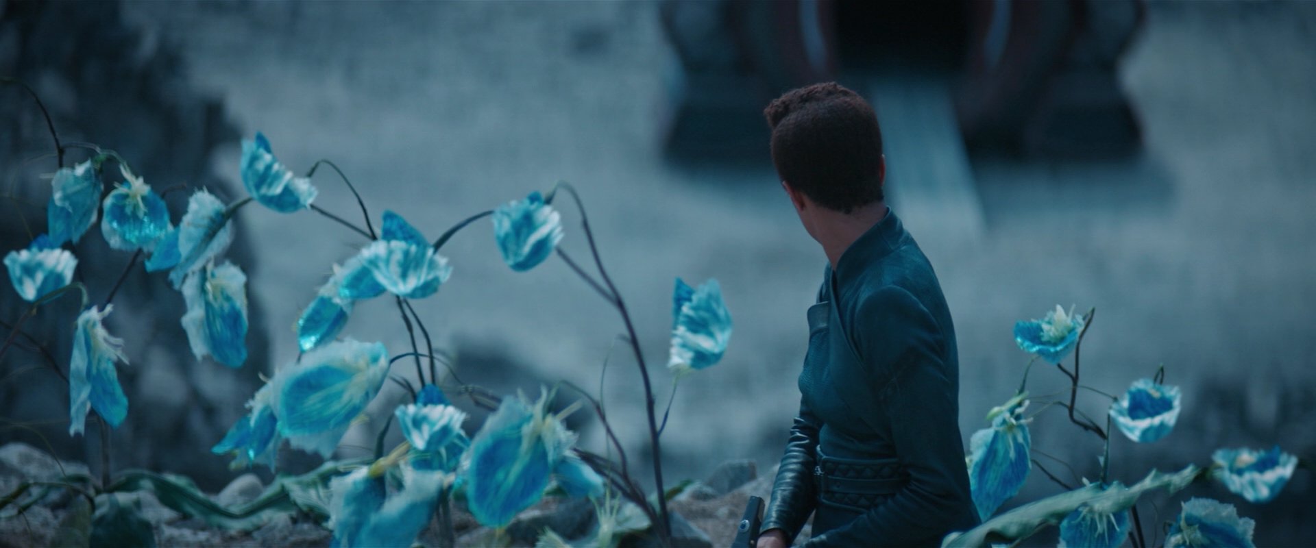 extant_StarTrekDiscovery_2x08-IfMemoryServes_01479.jpg