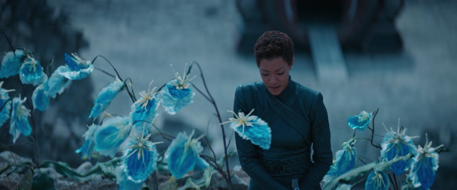 extant_StarTrekDiscovery_2x08-IfMemoryServes_01484.jpg