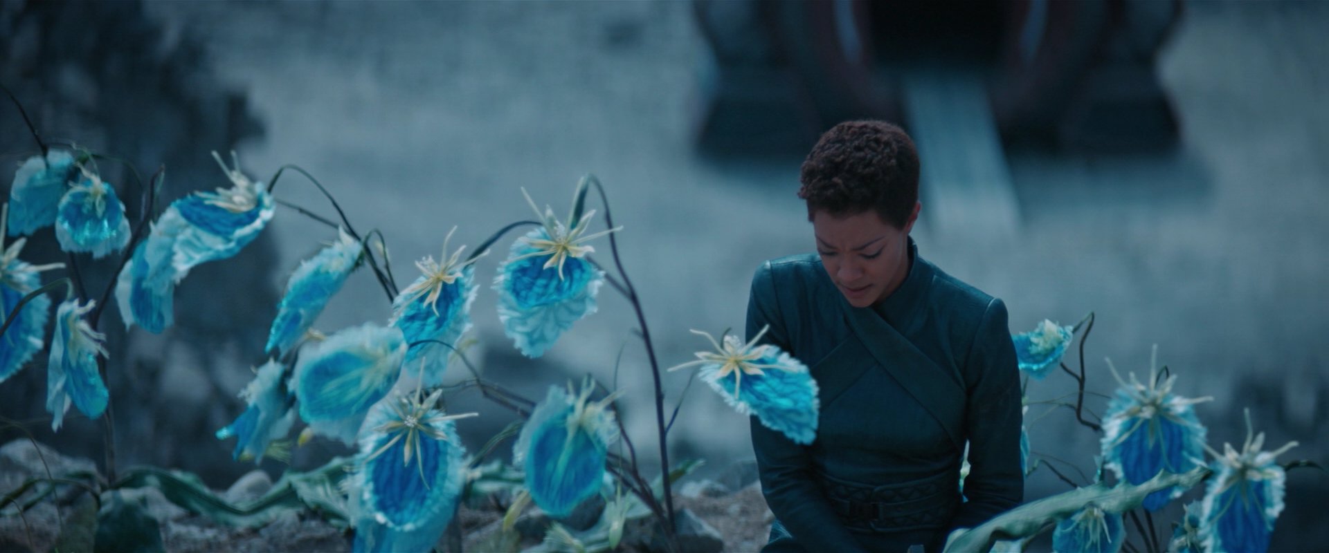 extant_StarTrekDiscovery_2x08-IfMemoryServes_01485.jpg