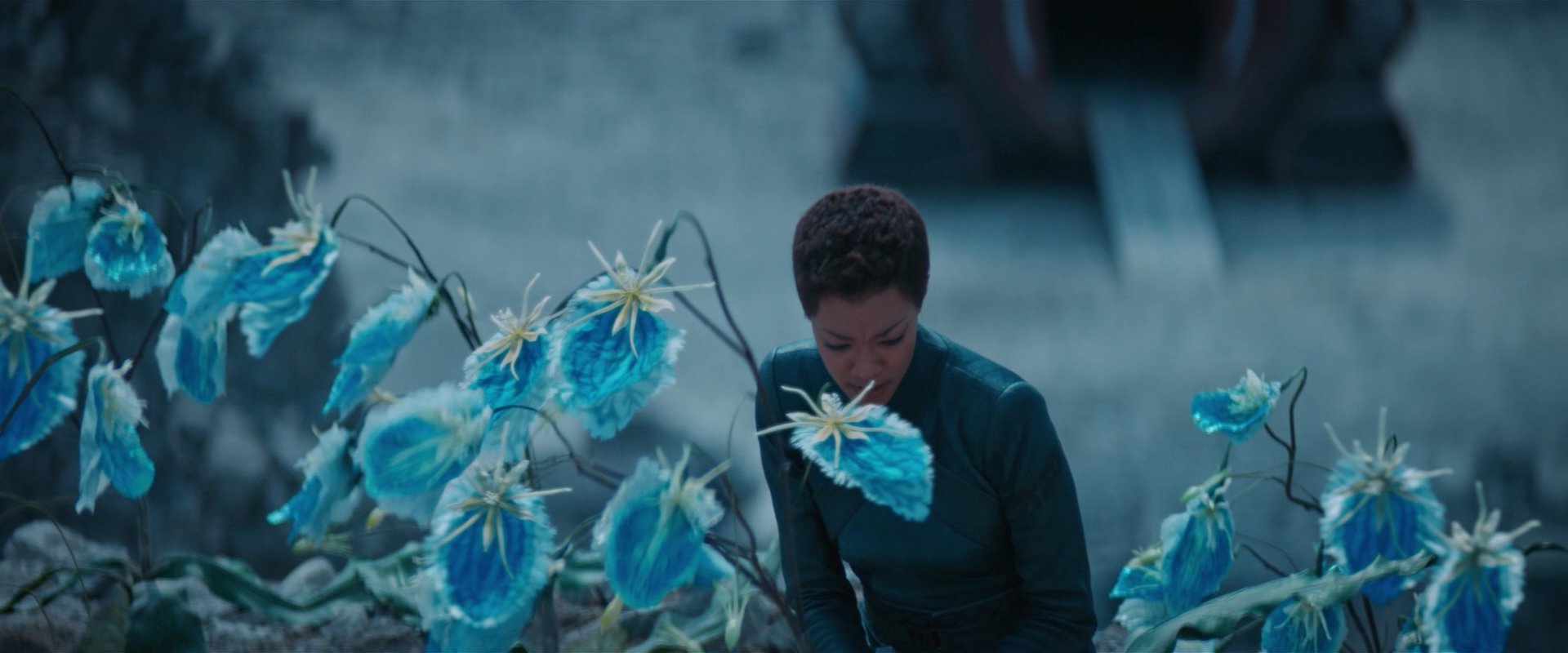 extant_StarTrekDiscovery_2x08-IfMemoryServes_01486.jpg