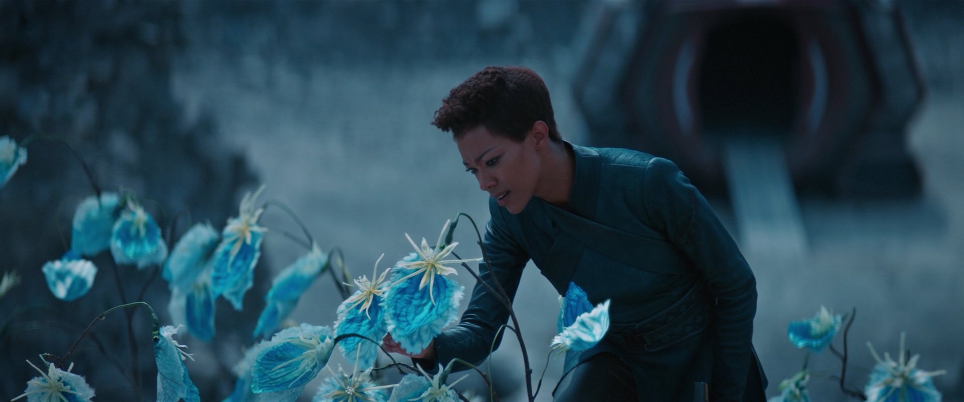 extant_StarTrekDiscovery_2x08-IfMemoryServes_01495.jpg
