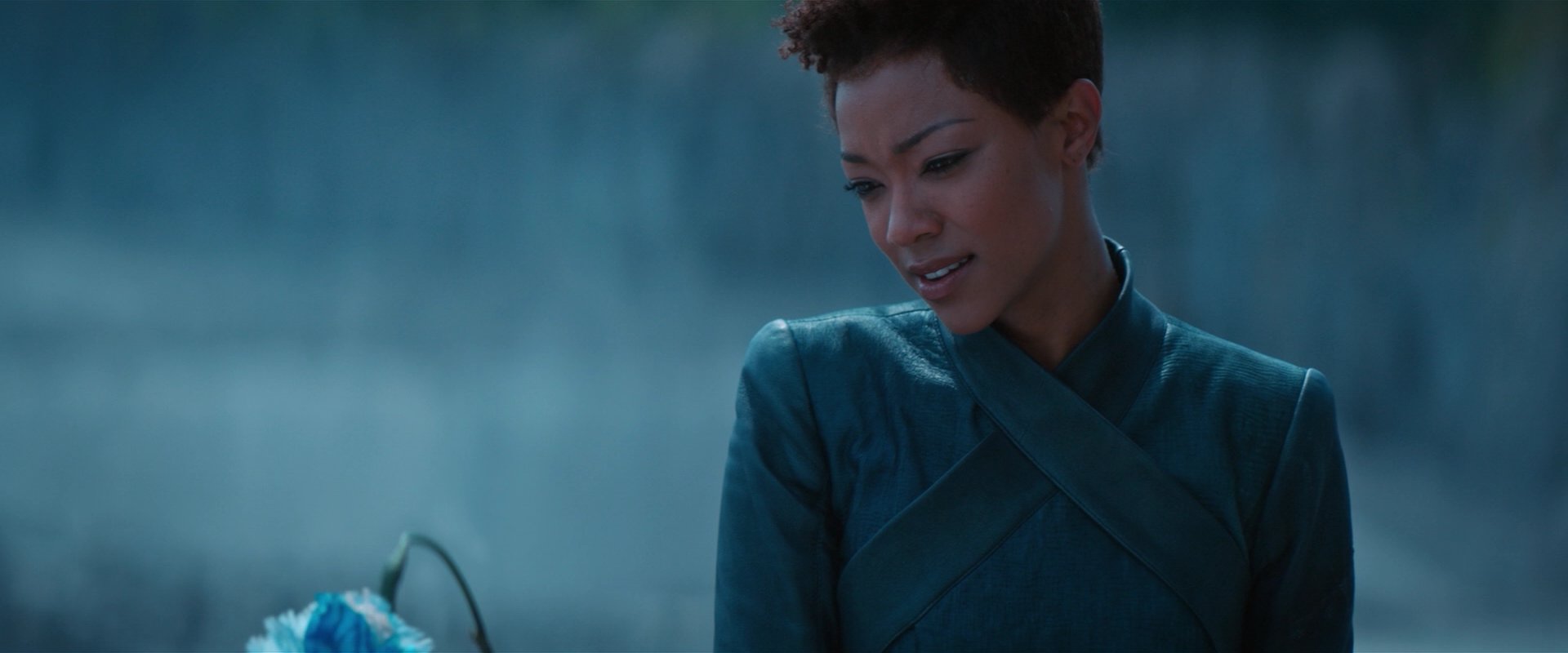 extant_StarTrekDiscovery_2x08-IfMemoryServes_01504.jpg