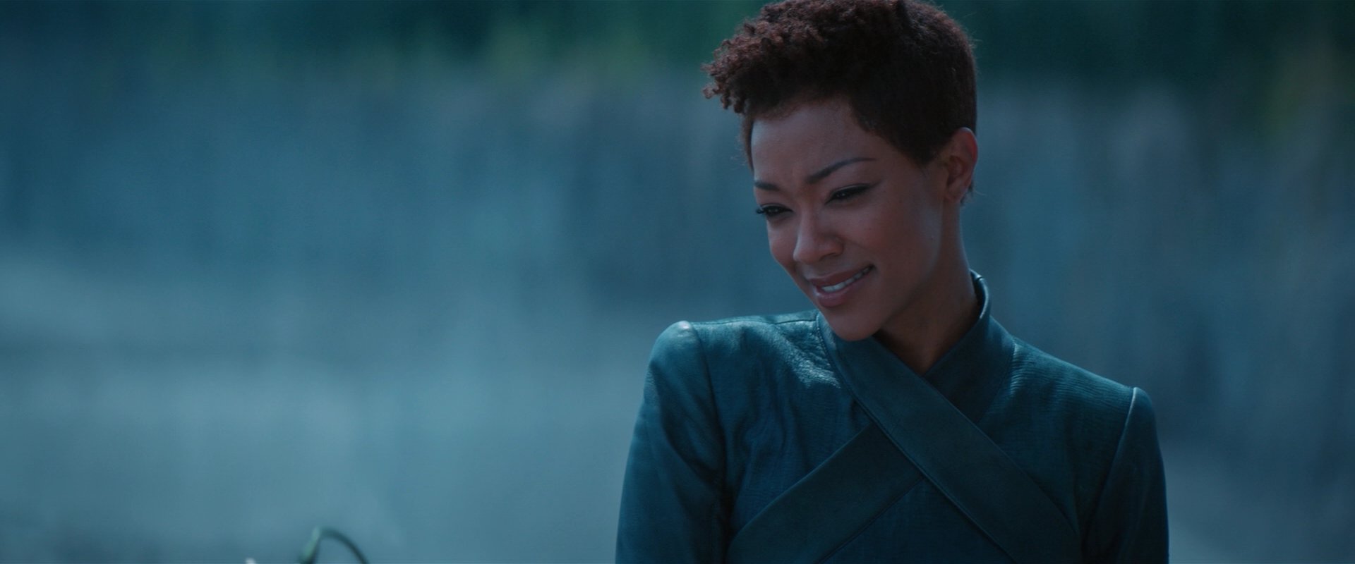 extant_StarTrekDiscovery_2x08-IfMemoryServes_01505.jpg