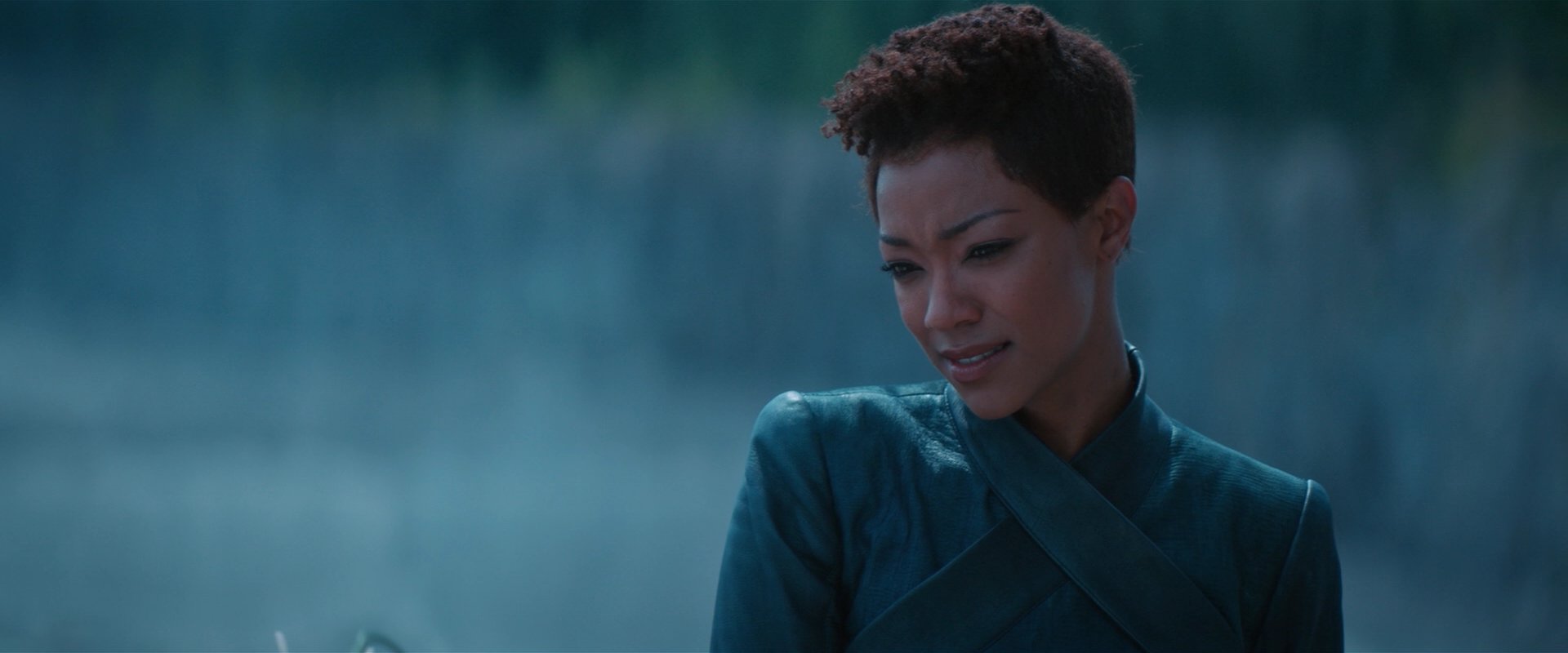 extant_StarTrekDiscovery_2x08-IfMemoryServes_01506.jpg