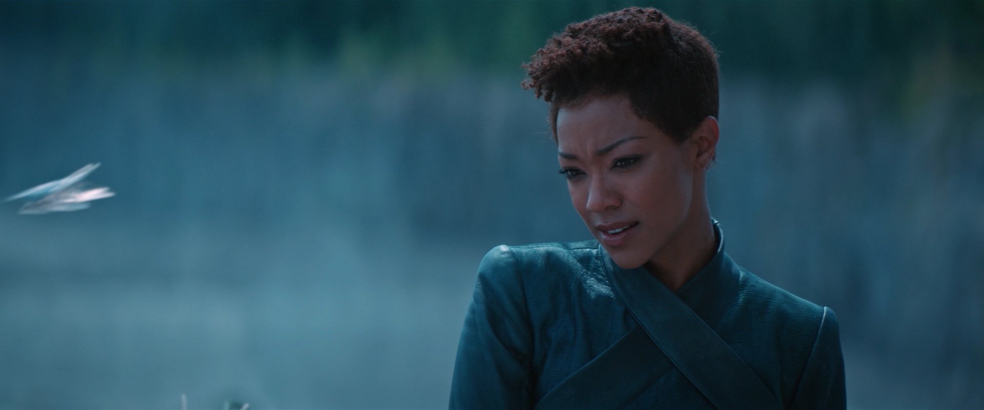 extant_StarTrekDiscovery_2x08-IfMemoryServes_01507.jpg