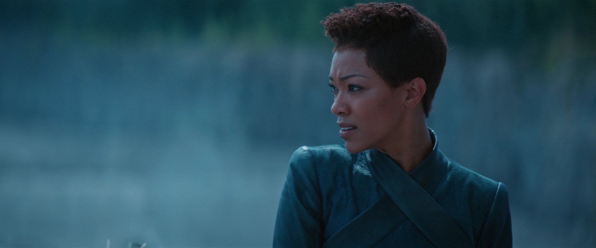 extant_StarTrekDiscovery_2x08-IfMemoryServes_01508.jpg