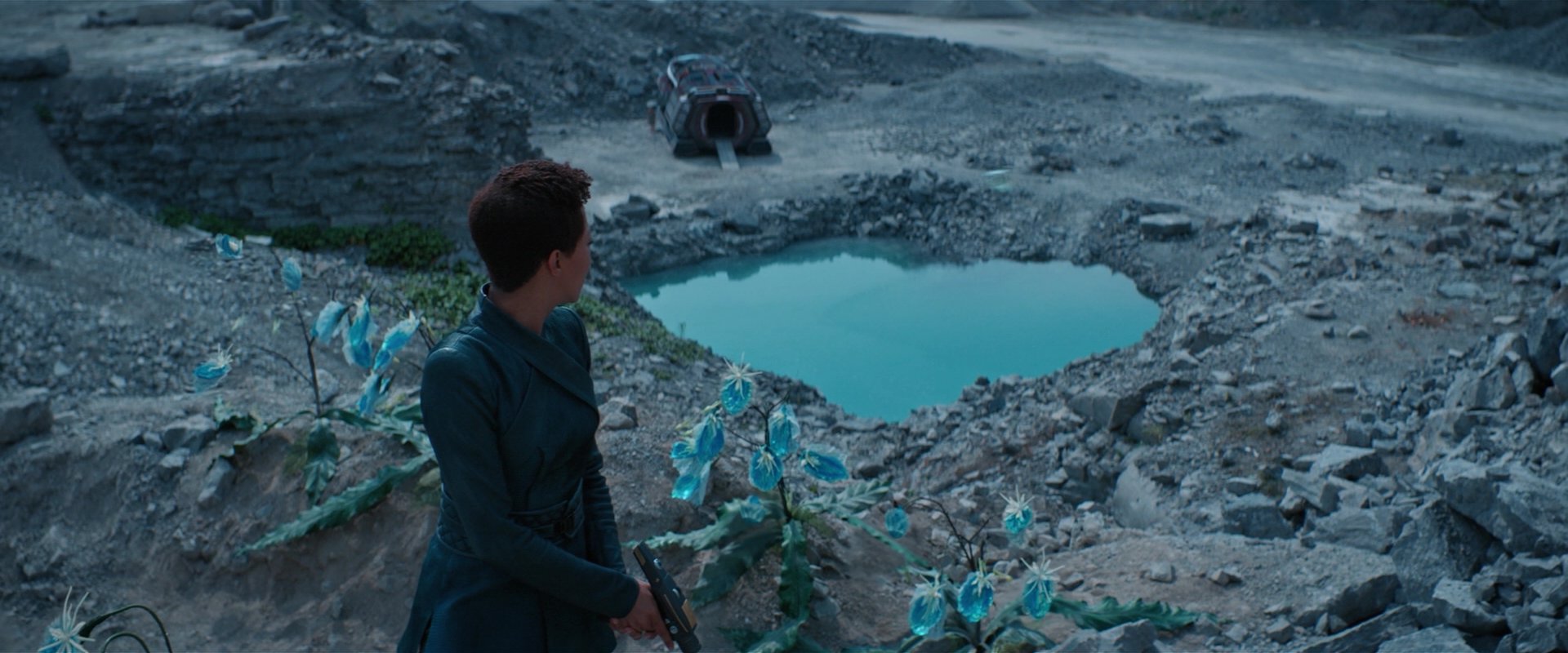 extant_StarTrekDiscovery_2x08-IfMemoryServes_01510.jpg