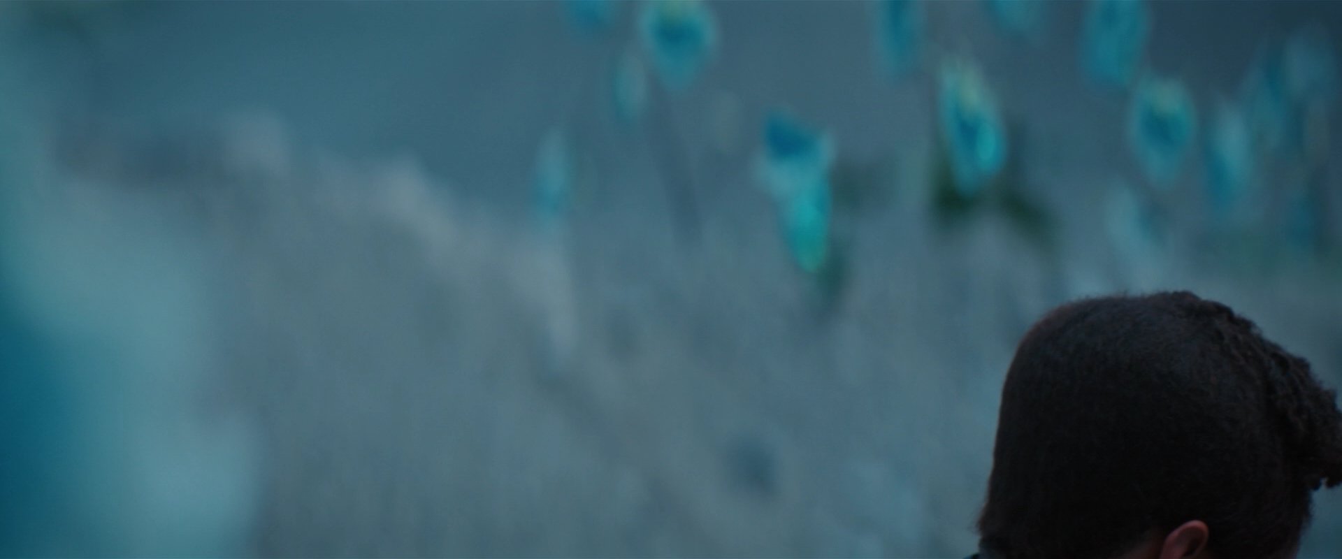 extant_StarTrekDiscovery_2x08-IfMemoryServes_01524.jpg