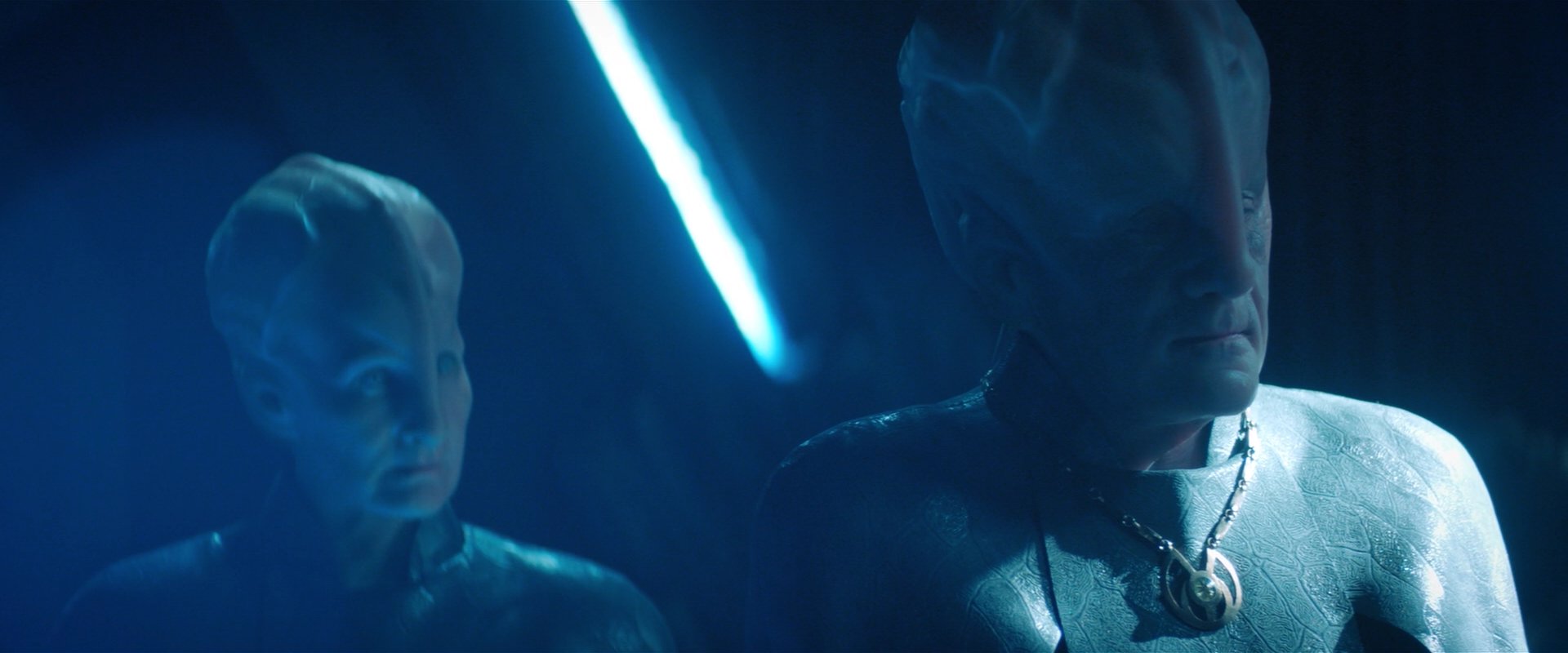 extant_StarTrekDiscovery_2x08-IfMemoryServes_01843.jpg