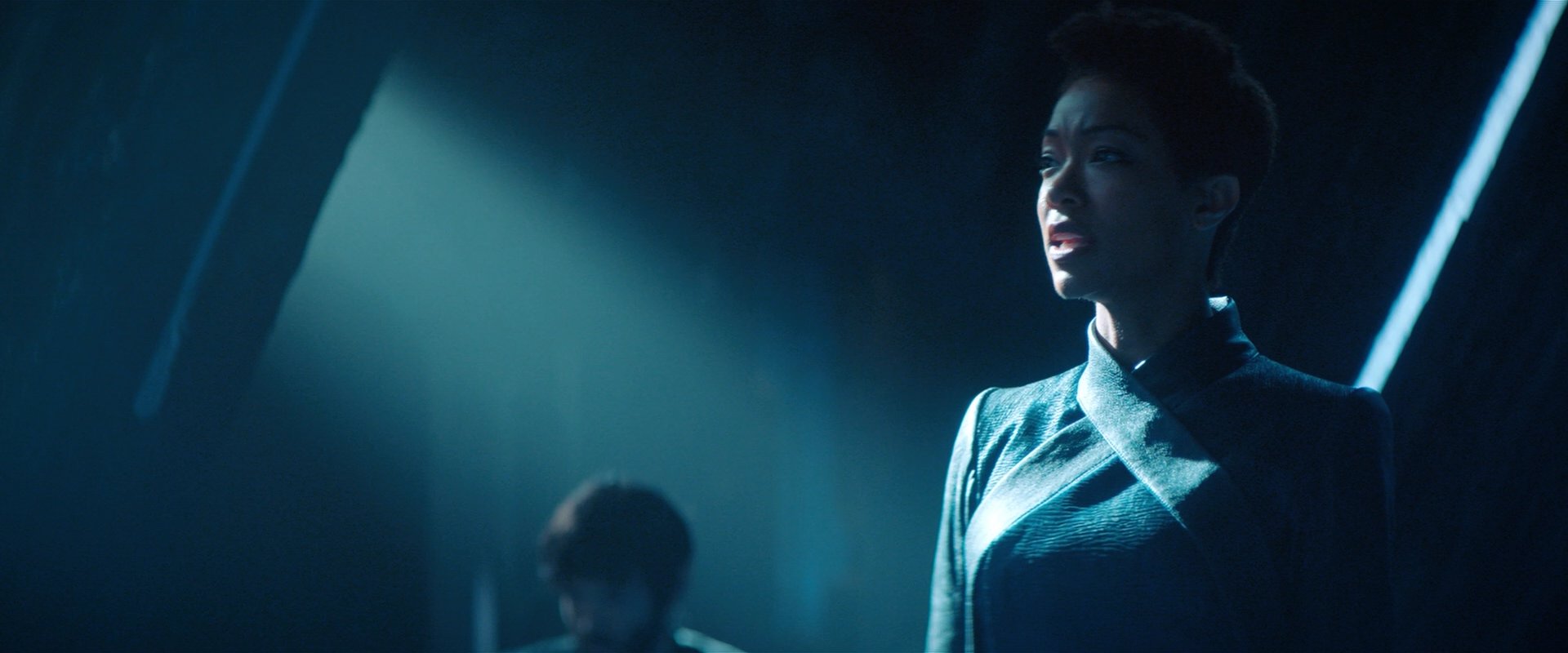 extant_StarTrekDiscovery_2x08-IfMemoryServes_01875.jpg