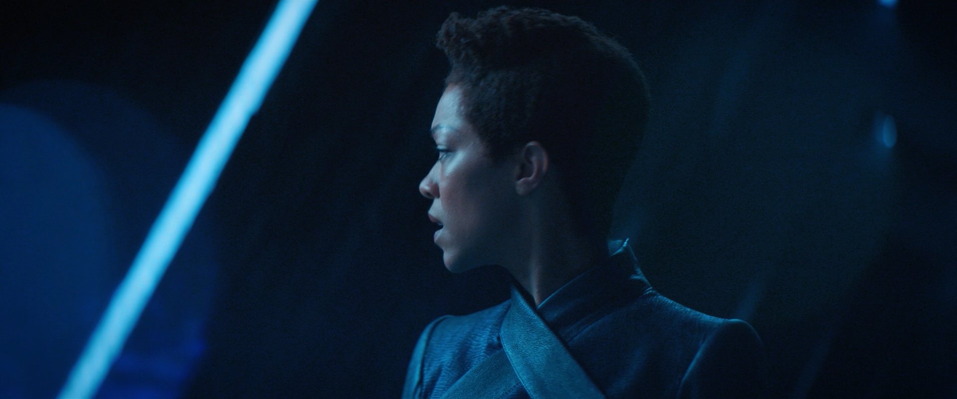 extant_StarTrekDiscovery_2x08-IfMemoryServes_01911.jpg