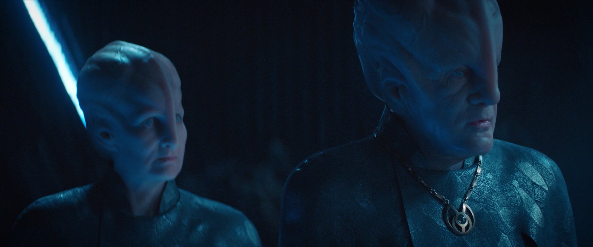 extant_StarTrekDiscovery_2x08-IfMemoryServes_01978.jpg