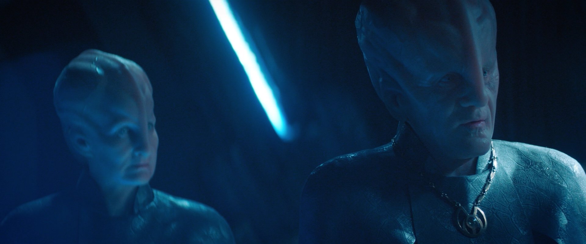 extant_StarTrekDiscovery_2x08-IfMemoryServes_02196.jpg