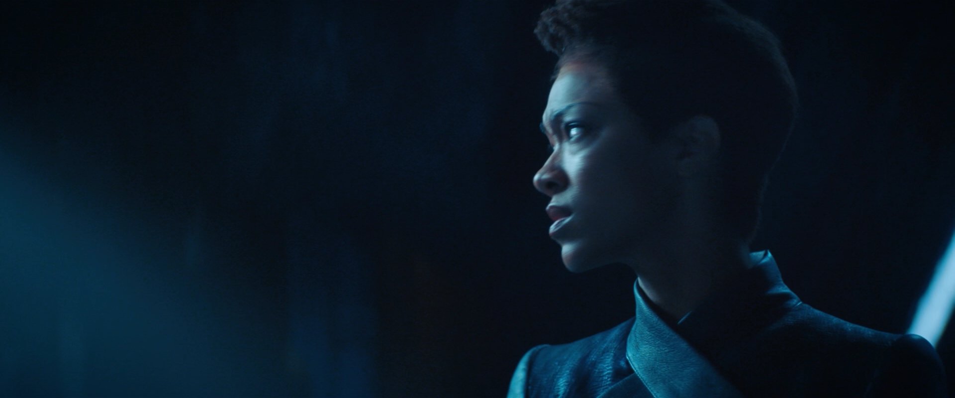 extant_StarTrekDiscovery_2x08-IfMemoryServes_02200.jpg