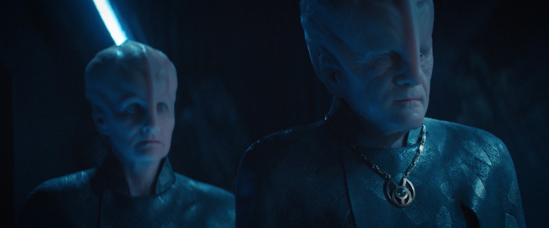 extant_StarTrekDiscovery_2x08-IfMemoryServes_02231.jpg